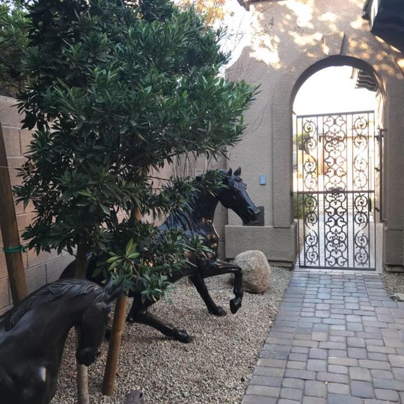 Meet your Posher, Barbara - Picture 1 of 1